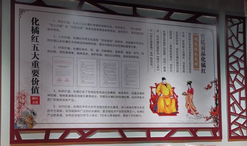 化橘红圆果假一赔三正毛橘红(规格6-7号)圆果量大从优