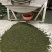 沉香茶白木香叶奇楠沉香茶产地直销一手货源50斤/件