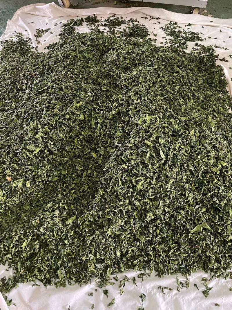 沉香茶白木香叶奇楠沉香茶产地直销一手货源50斤/件