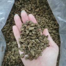 沉香茶白木香叶奇楠沉香茶产地直销一手货源50斤/件