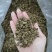 沉香茶白木香叶奇楠沉香茶产地直销一手货源50斤/件