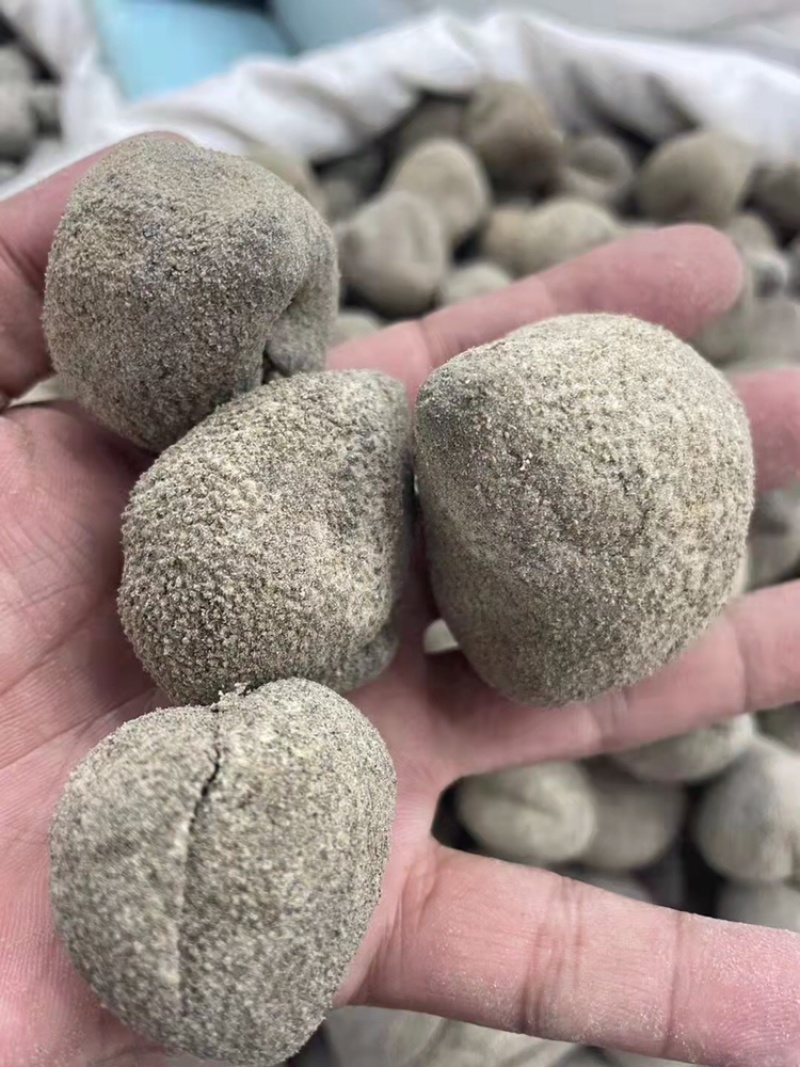越南珍珠球参足干肉厚纯淡干适合日常食用性价比高