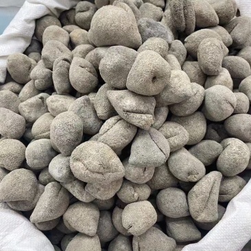 越南珍珠球参足干肉厚纯淡干适合日常食用性价比高