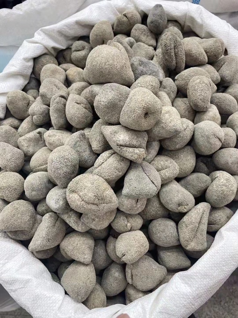 越南珍珠球参足干肉厚纯淡干适合日常食用性价比高