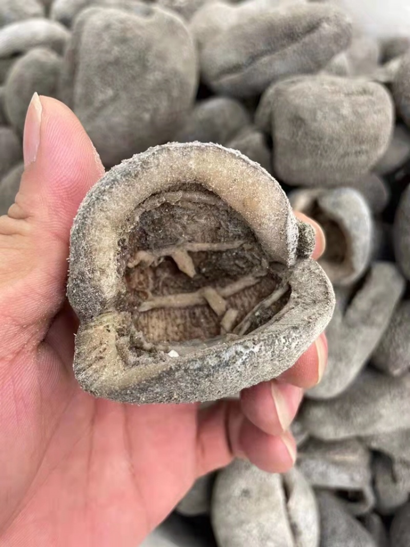 越南珍珠球参足干肉厚纯淡干适合日常食用性价比高