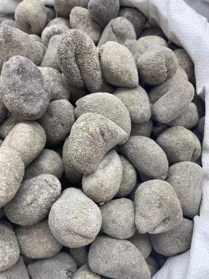 越南珍珠球参足干肉厚纯淡干适合日常食用性价比高