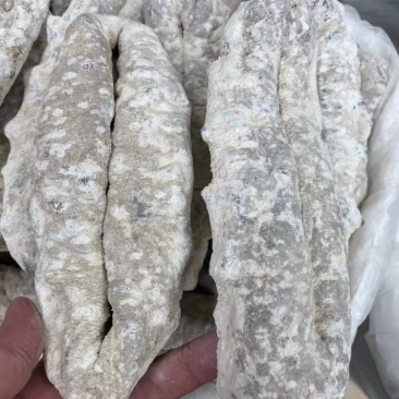 海参猪婆参干度好泡发率超级高适合家庭日常食用