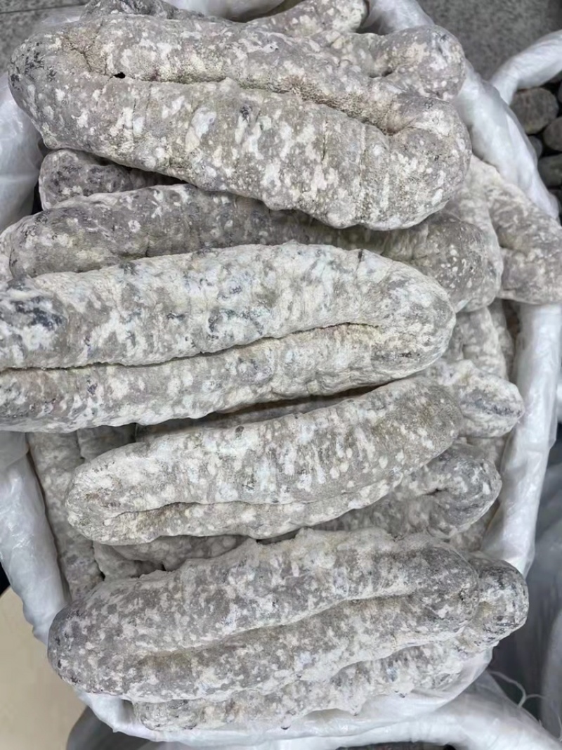 海参猪婆参干度好泡发率超级高适合家庭日常食用