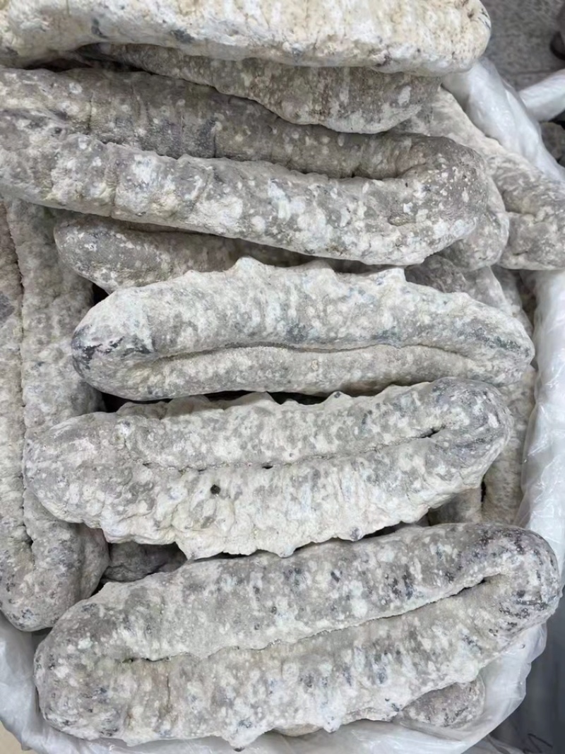 海参猪婆参干度好泡发率超级高适合家庭日常食用