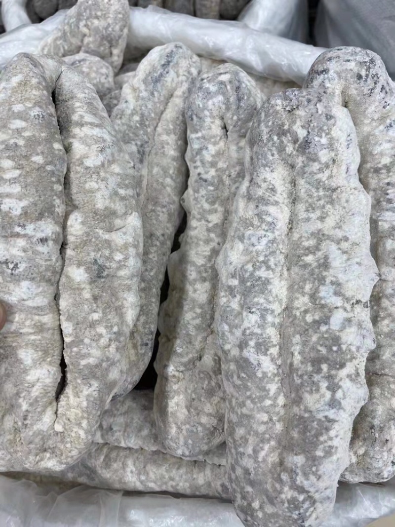 海参猪婆参干度好泡发率超级高适合家庭日常食用