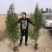 侧柏侧柏基地柏树规格齐全现挖现发诚信经营欢迎