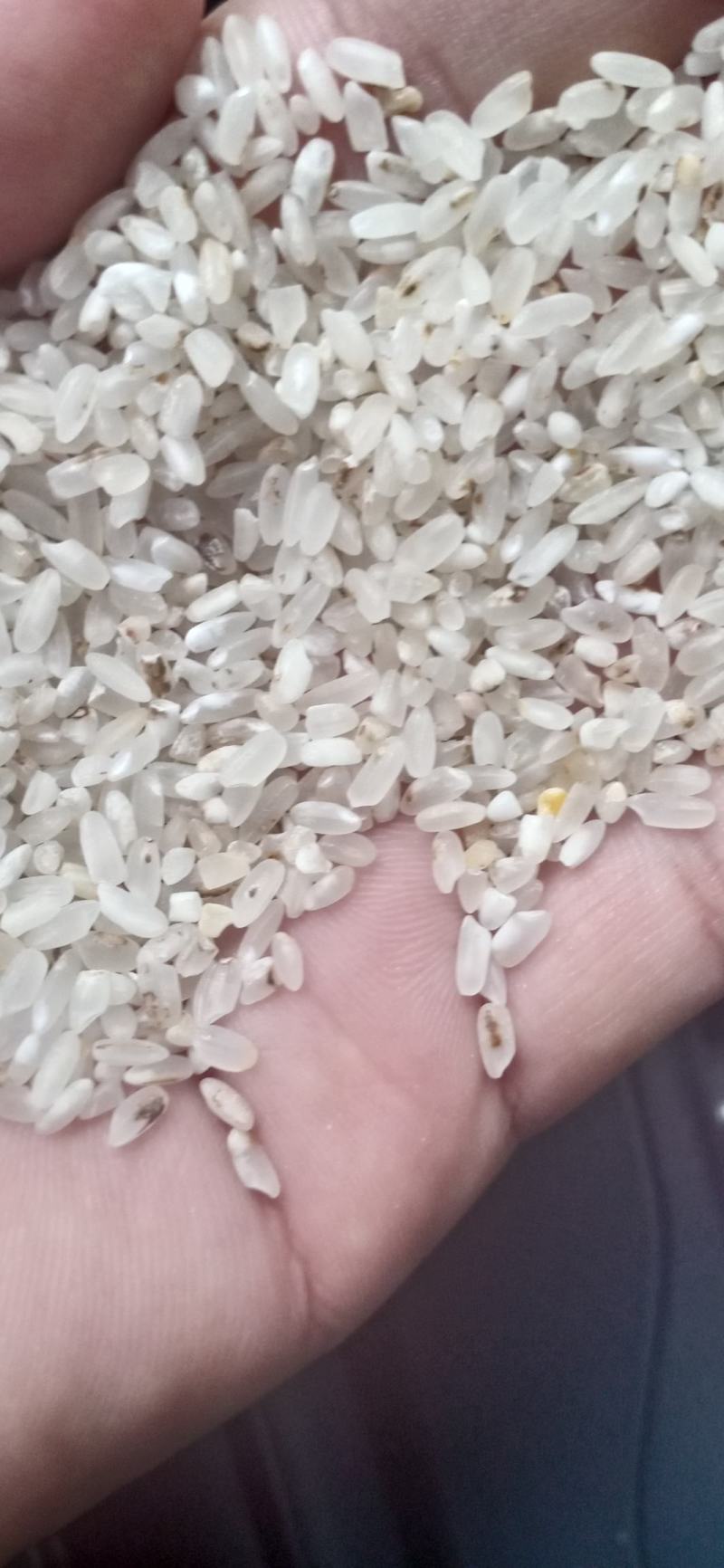 过机一选