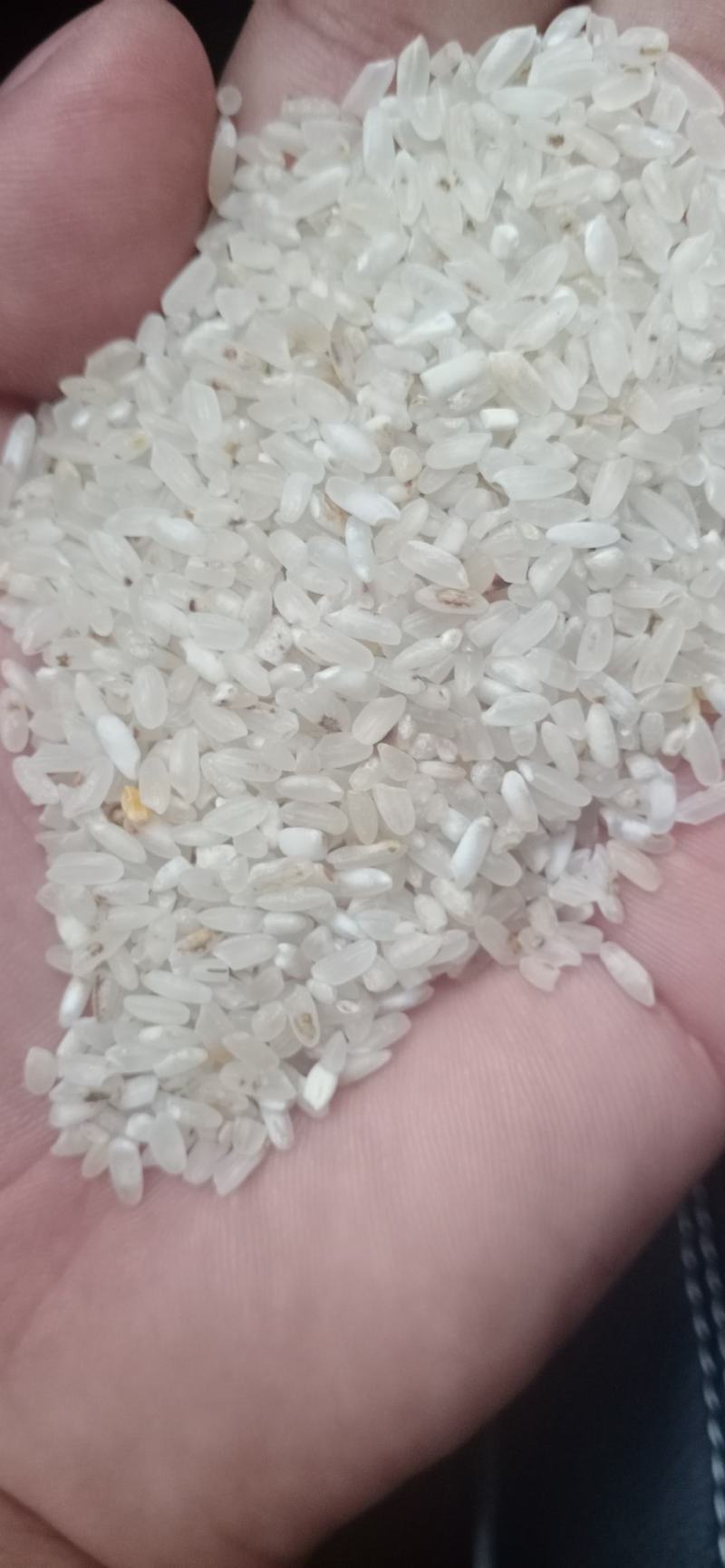 过机一选