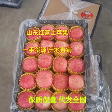红富士苹果坏果包赔产地直发一手货源价格优惠