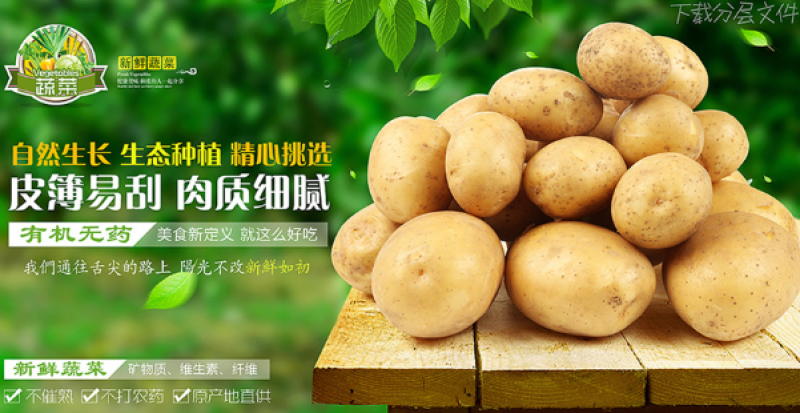 土豆小土豆纯沙地，榆林沙漠产地代发，热销中基地直供