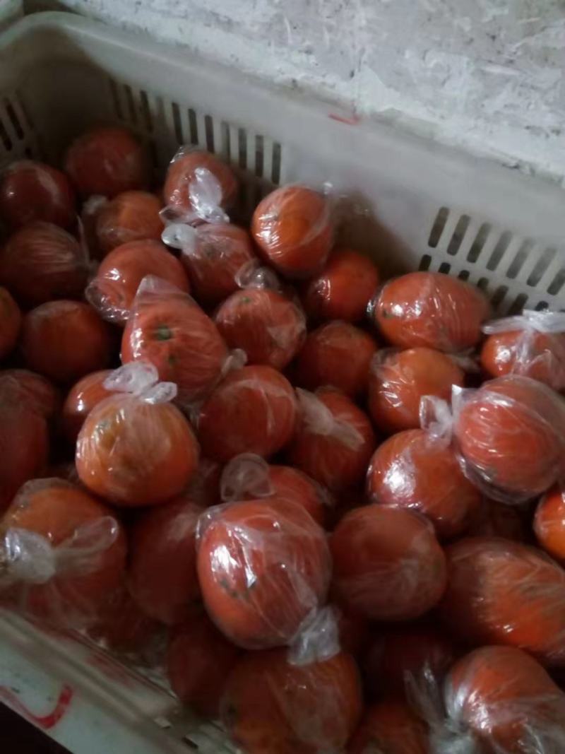 纽荷尔脐橙大量上市，口感好质量佳，现摘现发