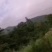 大峰(窝)又称人头蜂窝深山釆摘3斤起批入药产地直发