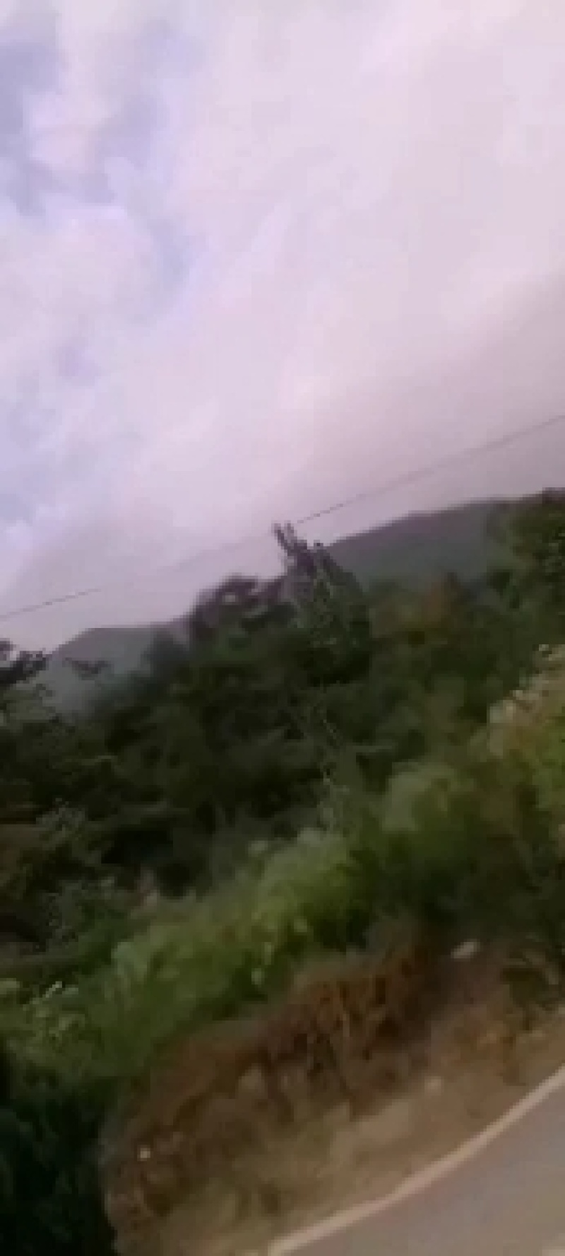 大峰(窝)又称人头蜂窝深山釆摘3斤起批入药产地直发
