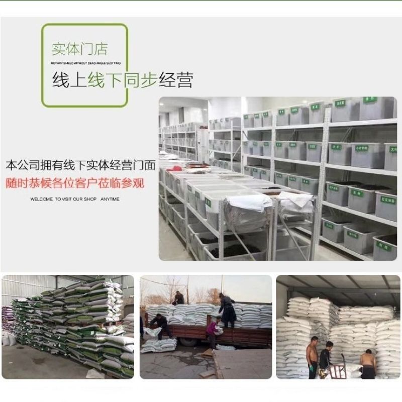 高雪轮花种籽子大片种植四季室外景观易种活花卉种子