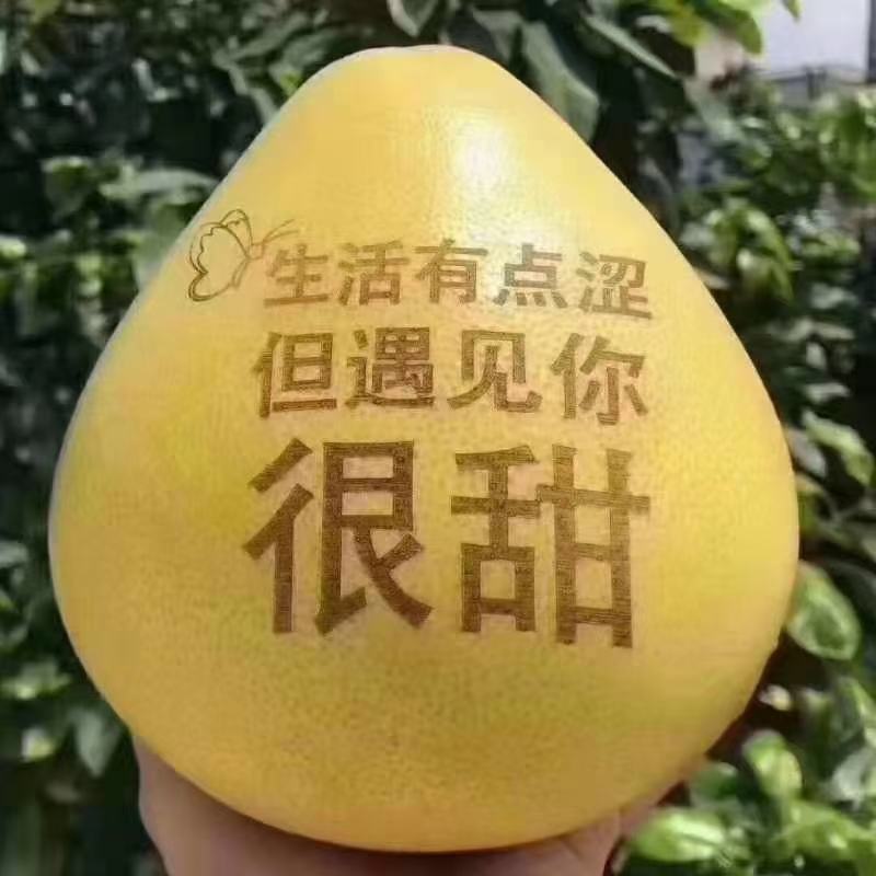 贵州脆柚生态种植