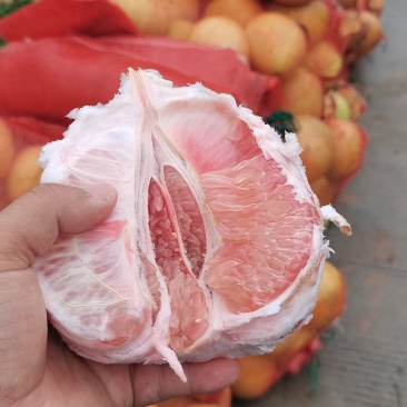 贵州脆柚生态种植