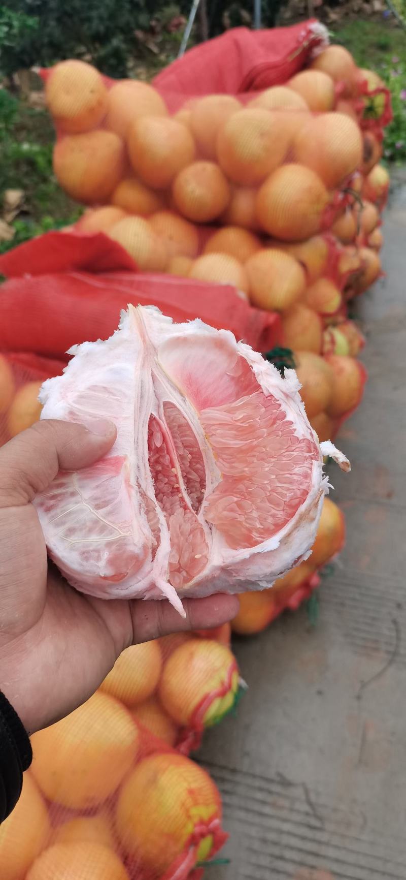 贵州脆柚生态种植