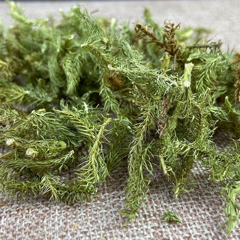 包邮实物拍摄贵州伸筋草包邮舒筋草野生中药材伸筋草茶