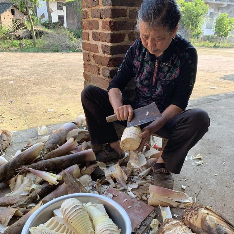 深山野生干笋尖无盐无硫农家自晒春笋干毛竹笋土特产干笋散装
