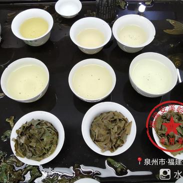 岭上龙韵香型正味安溪铁观音传统原味茶叶高山乌龙茶厂家直销