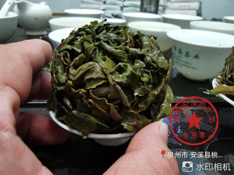 岭上龙韵香型正味安溪铁观音传统原味茶叶高山乌龙茶厂家直销