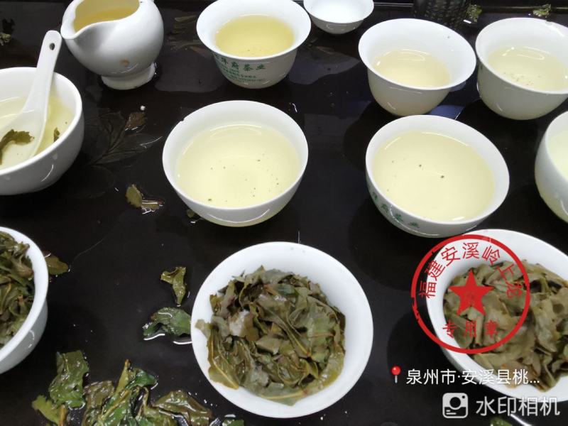 岭上龙韵香型正味安溪铁观音传统原味茶叶高山乌龙茶厂家直销