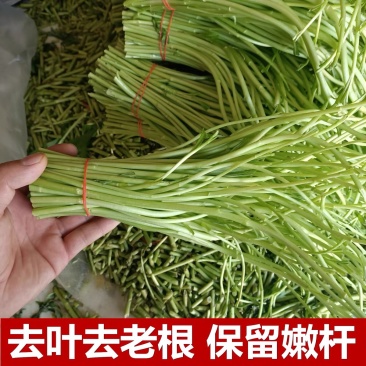 湖北省洪湖市泥蒿万亩基地、欢迎各电商合作《支持一件代发