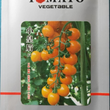 小皇后番茄种子早熟抗裂高产超甜，抗TY1000粒
