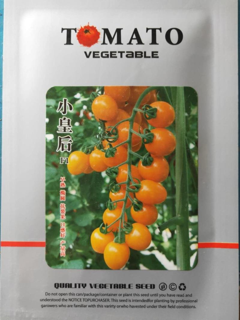 小皇后番茄种子早熟抗裂高产超甜，抗TY1000粒