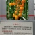 小皇后番茄种子早熟抗裂高产超甜，抗TY1000粒