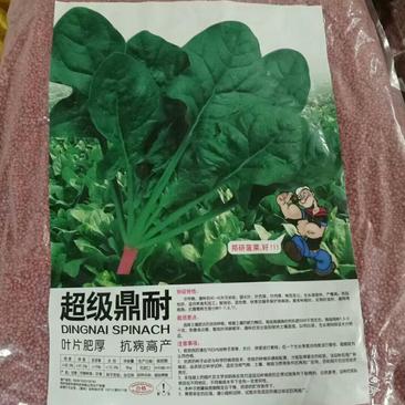 郑研鼎耐菠菜种子