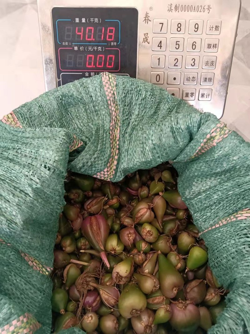 冰球子需要购买的联系我质量保证