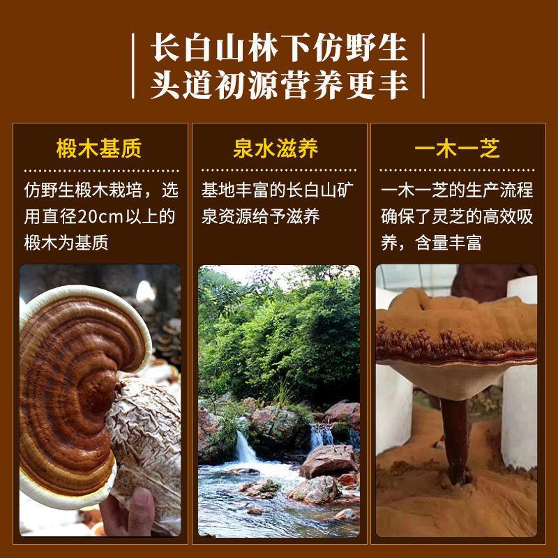 长白山头道灵芝孢子粉野生正品特级林芝袍子粉油