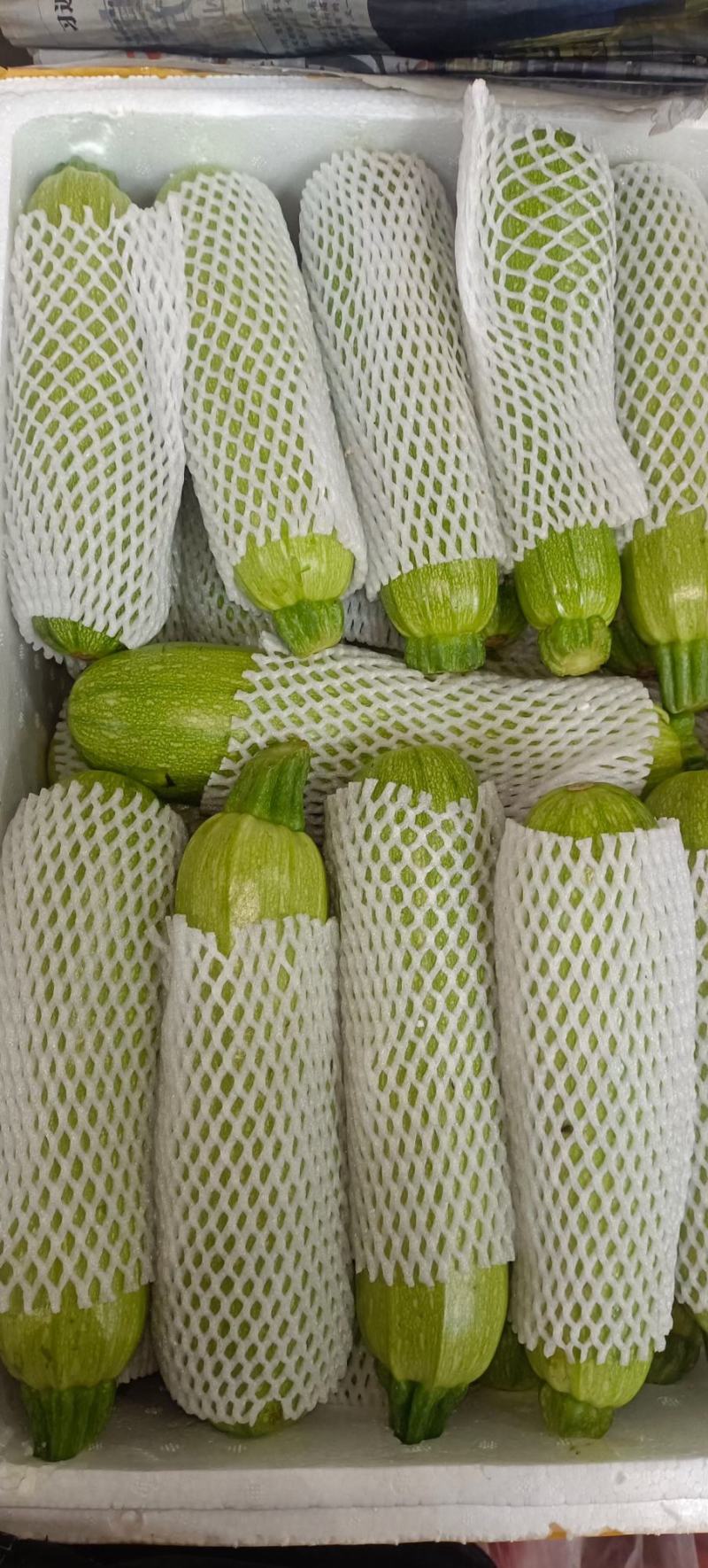 精品优质西葫芦，产地直供热销中