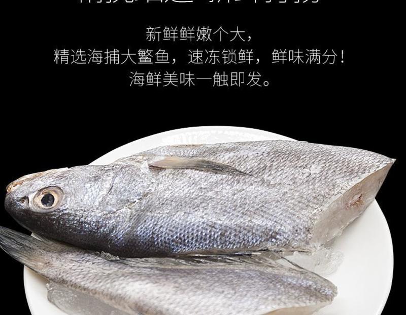 新鲜深海米鱼冷冻鳘鱼大鳘鱼冷冻鳘鱼海捕水产海鲜多省包邮
