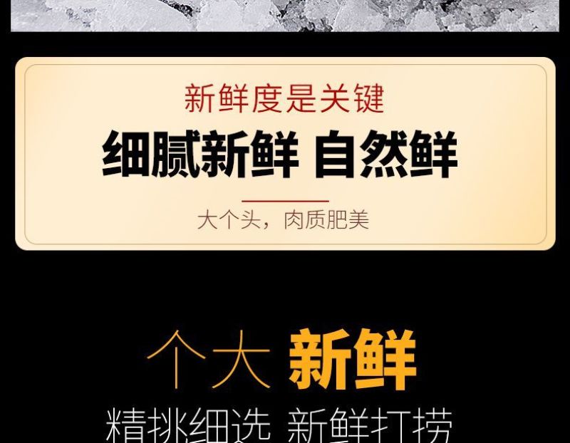 新鲜深海米鱼冷冻鳘鱼大鳘鱼冷冻鳘鱼海捕水产海鲜多省包邮