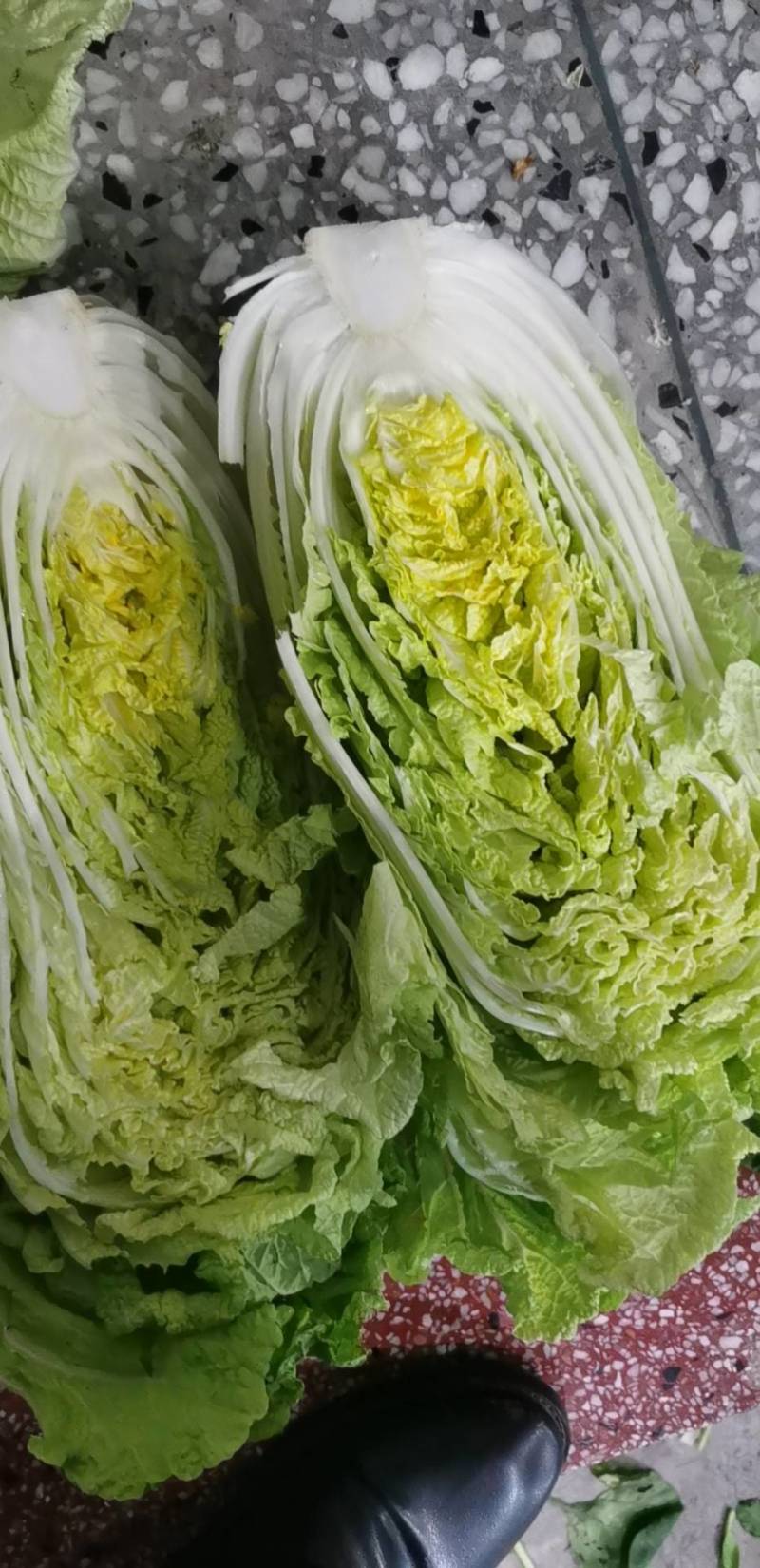 白菜陆续上市中，量大价优，欢迎新老客户光临！