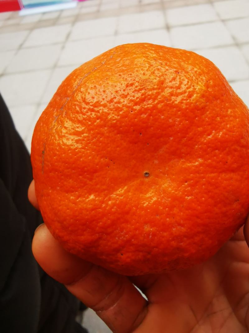明日见大量上市对接全国批发电商一件代发商超