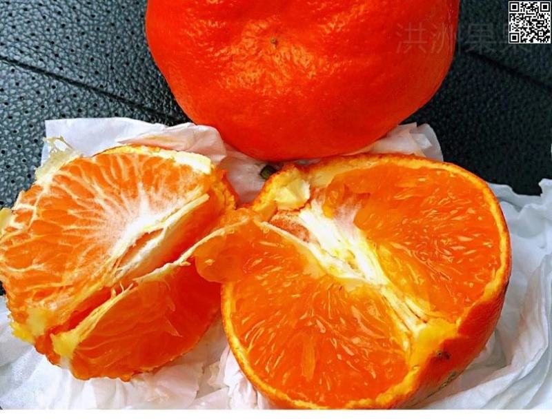 明日见大量上市对接全国批发电商一件代发商超