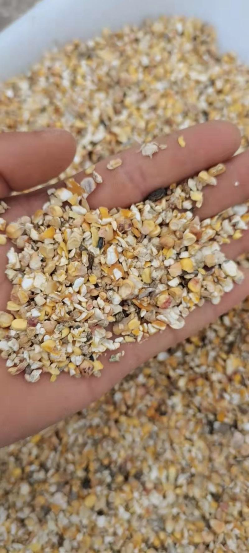 碎玉米大量供应河南产地直发可用作饲料量大价格优惠