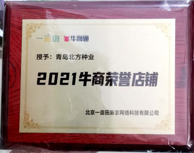 青亮一号长青优质春秋首萝卜种子