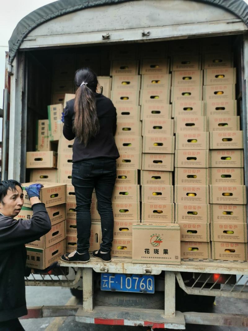 褚橙高原王子花斑果冰糖橙甘甜化渣整车和散货可发各地