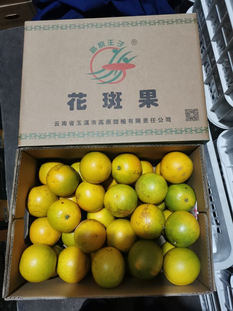 褚橙高原王子花斑果冰糖橙甘甜化渣整车和散货可发各地