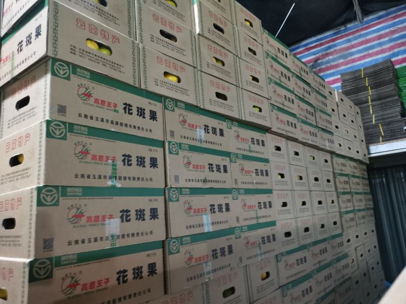 褚橙高原王子花斑果冰糖橙甘甜化渣整车和散货可发各地