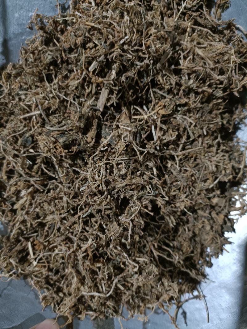 垂盆草新货颜色好货干供应各种中药材